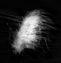 in the wind / ***