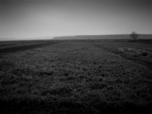 Loneliness / ***