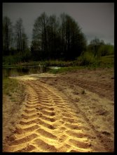 traces / ***