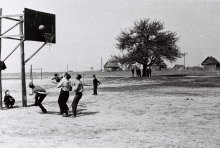 Basketball / ***