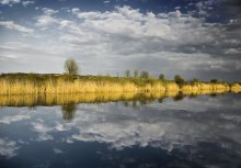 Reflections / ***