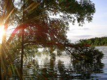 Last summer, / ***