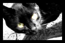 Sight-fire / ***