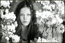Flowering time / no comments