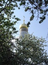Cathedral in the apple blossom / ***