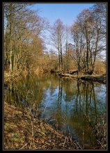 Spring / ***
