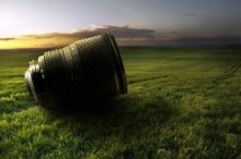 Objects in the field / ***