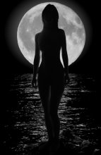 romanticism / ***
