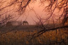 Quiet Evening / ***