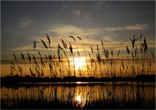 Evening / ***