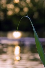 Solar Lantern / ***