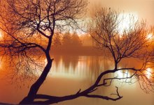 In the fog / ***