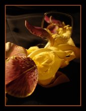 Etude 2 ... Toffee ... / ***