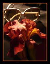 Etude 3 ... Toffee ... / ***