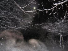 frost / ***