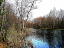 Forest Lake / ***