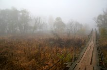 Time is mired in a fog, like a sleepy stupid fly ... / ***