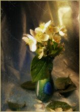 Jasmine / ***