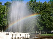 Rainbow / ***