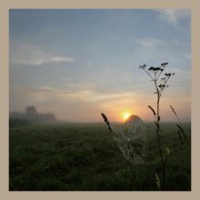 Morning Summer / ***