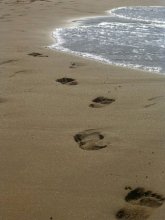 Traces / ***