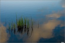 About grass growing in the clouds / ***
