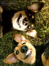smile a good man / ***