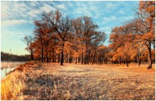 Oak grove / ***