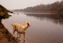 Dreaming by the River / 08.10.2011.