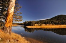 Esen in the Rhodope Mountains:) / ***