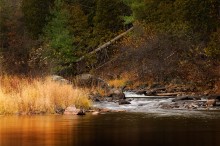 landscape still life in November / ***