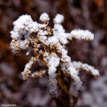 First snow / ***
