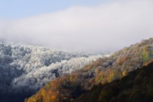 Autumn vs. Winter / ***