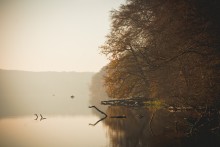 Herbst / ......
