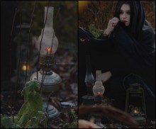 Dark Light / ***