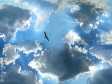 She shone four suns / ***