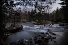 water shoots @ Montée Paiement / ***