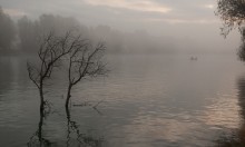 Auf der Stange / ***
