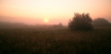 Pink morning / ___________________*