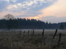Morgen / ______