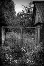 Dead garden / ***
