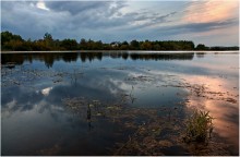 Evenings (5) / *****