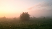 Aus dem Nebel - 2 / ________________*