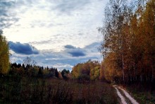 Autumn time. / ***