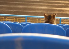 to Euro 2012 left .... / ******
