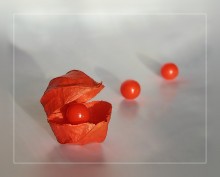 Red Pearl 2 / ***