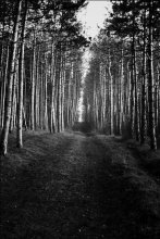 Weg / ***