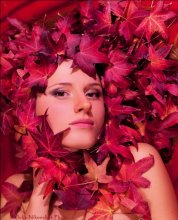 Anastasia 2 / glamour
