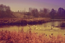 for takeoff / ***