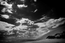 line nature / _____